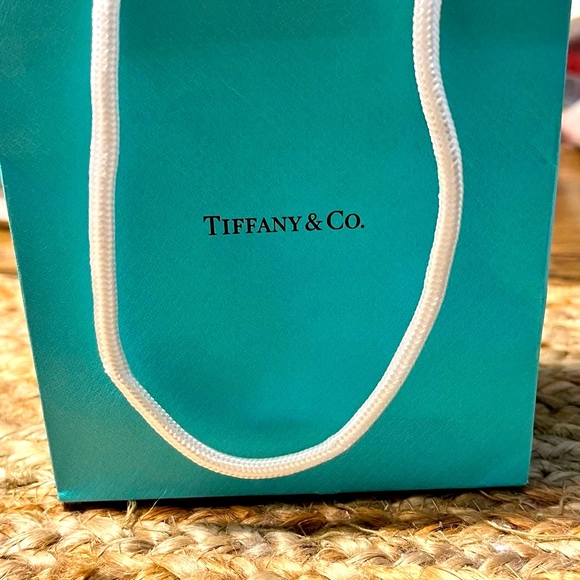 Tiffany & co. Necklace new in box and bag no tags - Picture 12 of 15